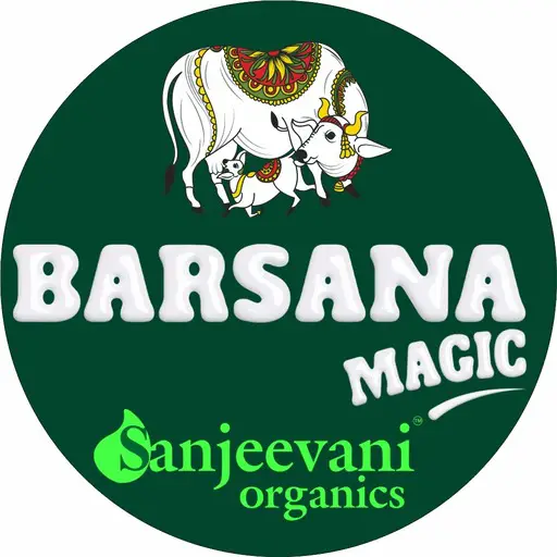 barsana magic