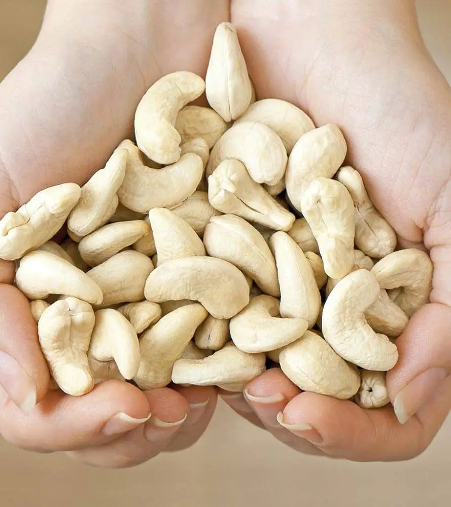 Cashew Nuts for a Healthy Lifestyle