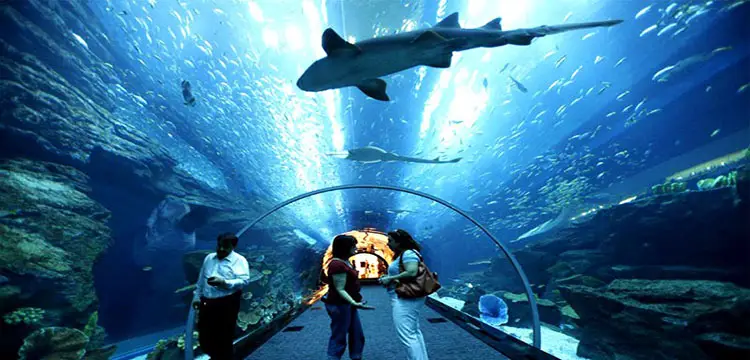 places to Visit in Malaysia for CouplesPlaces to Visit in Malaysia for Couples-underwater-world