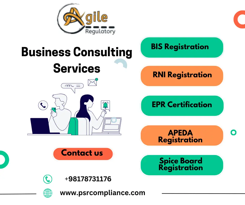 Business Consulting Firm in India