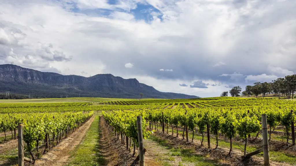 best-wineries-in-hunter-valley-australia