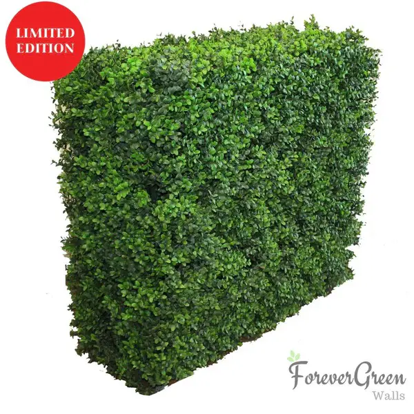 05 - artificial-portable-hedges-buxux-forever-green-walls-_564