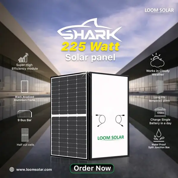 225watt loom solar panel