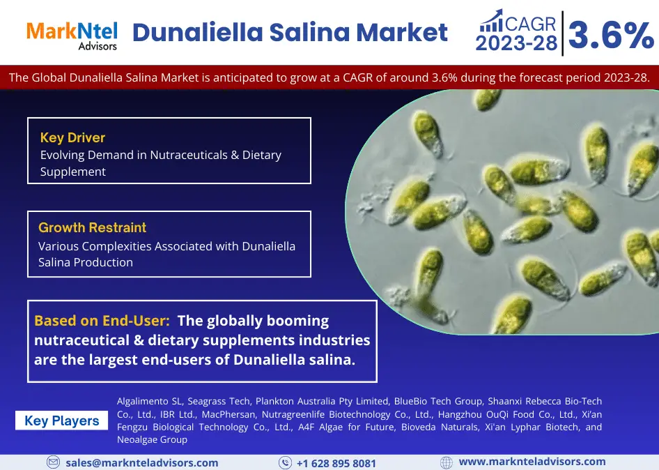 Global Dunaliella Salina Market Research Report Forecast (2023-2028)