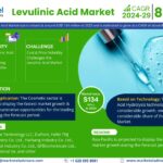 Levulinic Acid Market