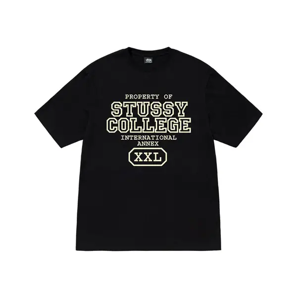 Propriete-DE-Stussy-T-Shirt