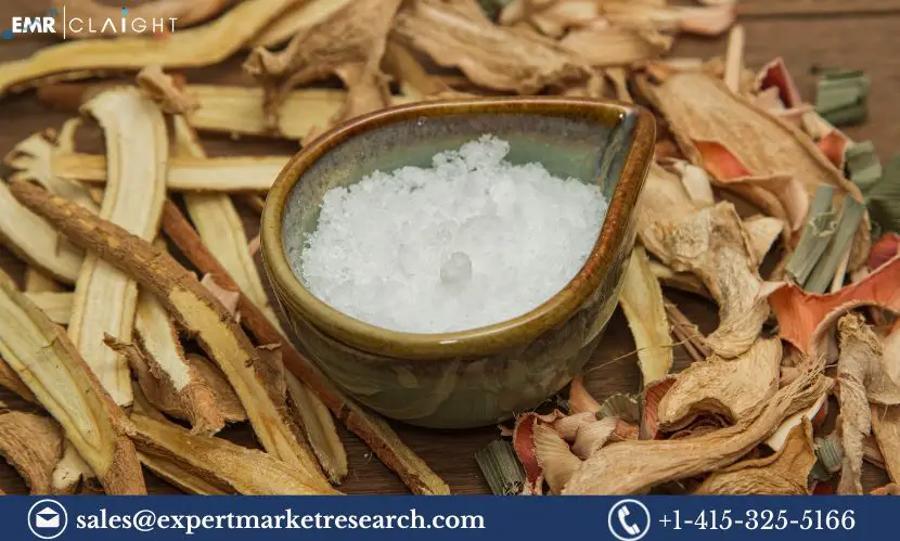 Synthetic Camphor Powder Manufacturing Plant Project report